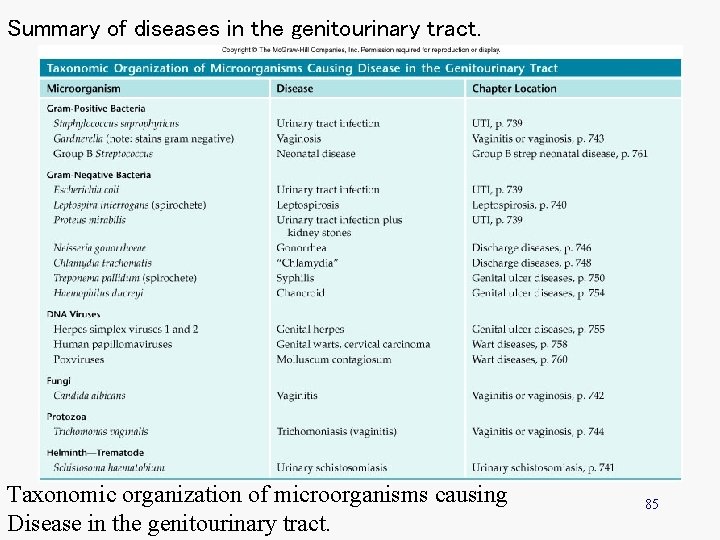 Summary of diseases in the genitourinary tract. Taxonomic organization of microorganisms causing Disease in