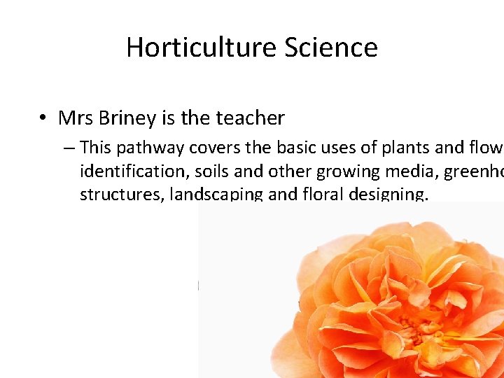 Horticulture Science • Mrs Briney is the teacher – This pathway covers the basic