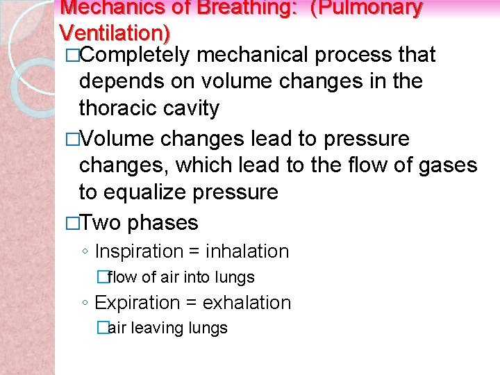 Mechanics of Breathing: (Pulmonary Ventilation) �Completely mechanical process that depends on volume changes in