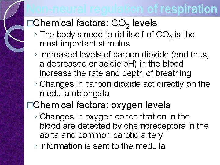 Non-neural regulation of respiration �Chemical factors: CO 2 levels ◦ The body’s need to