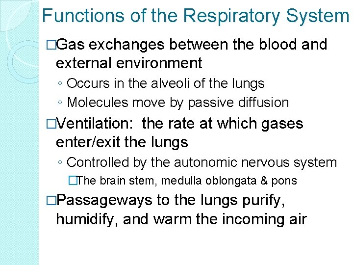 Functions of the Respiratory System �Gas exchanges between the blood and external environment ◦