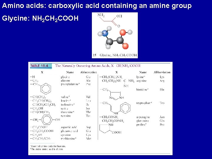 Amino acids: carboxylic acid containing an amine group Glycine: NH 2 COOH 