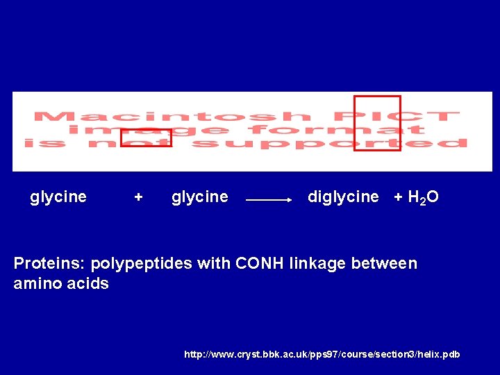 glycine + glycine diglycine + H 2 O Proteins: polypeptides with CONH linkage between