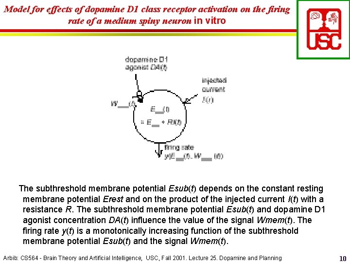 Model for effects of dopamine D 1 class receptor activation on the firing rate