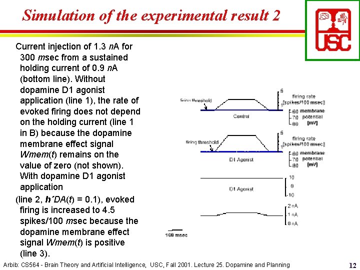 Simulation of the experimental result 2 Current injection of 1. 3 n. A for