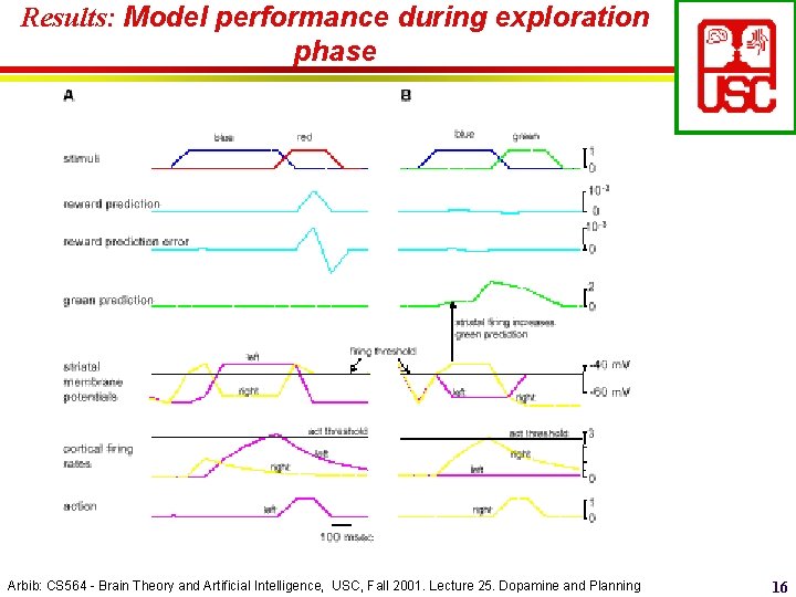 Results: Model performance during exploration phase Arbib: CS 564 - Brain Theory and Artificial