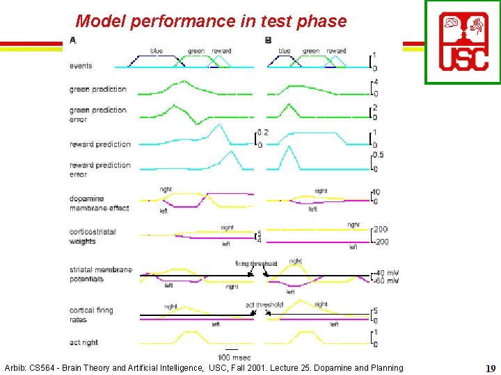 Model performance in test phase Arbib: CS 564 - Brain Theory and Artificial Intelligence,