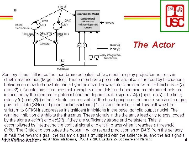 The Actor Sensory stimuli influence the membrane potentials of two medium spiny projection neurons