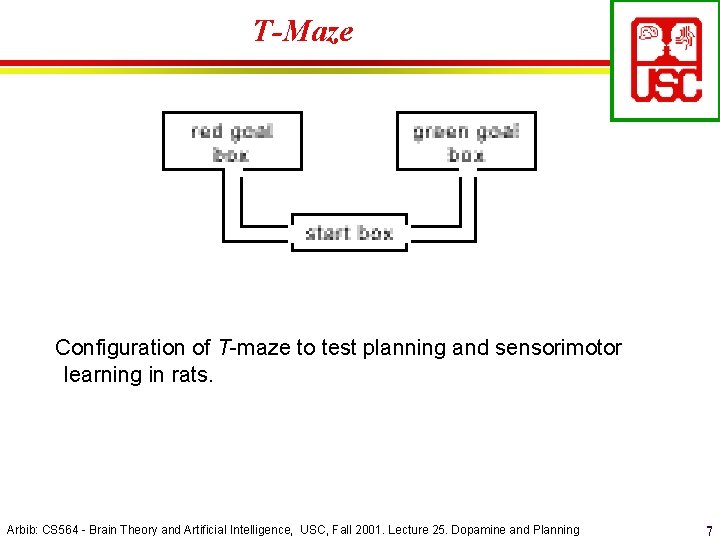 T-Maze Configuration of T-maze to test planning and sensorimotor learning in rats. Arbib: CS