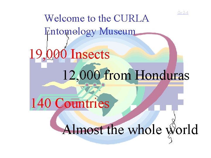 Welcome to the CURLA Entomology Museum Gr 2 -4 19, 000 Insects 12, 000