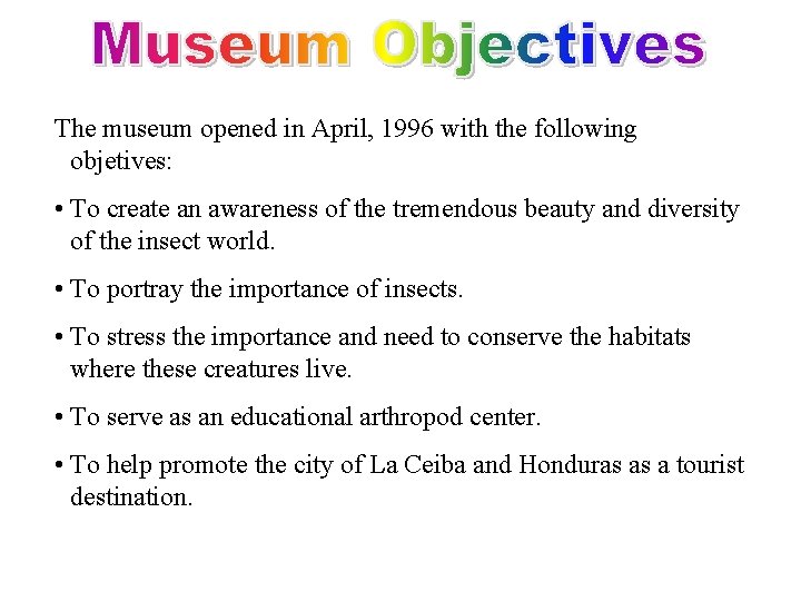 The museum opened in April, 1996 with the following objetives: • To create an