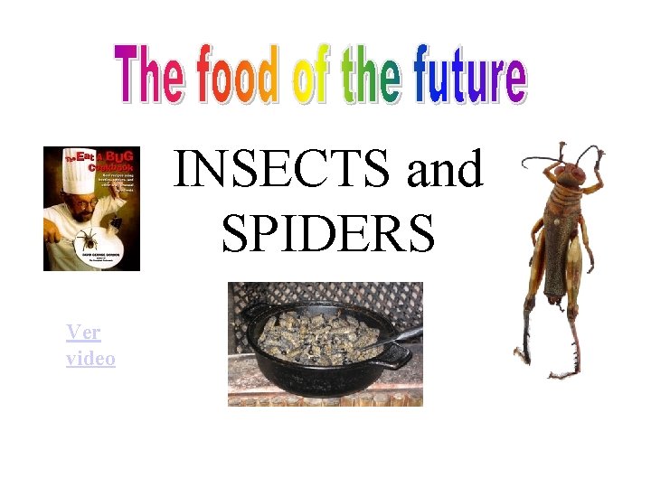 INSECTS and SPIDERS Ver video 