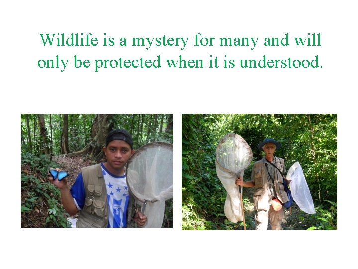 Wildlife is a mystery for many and will only be protected when it is