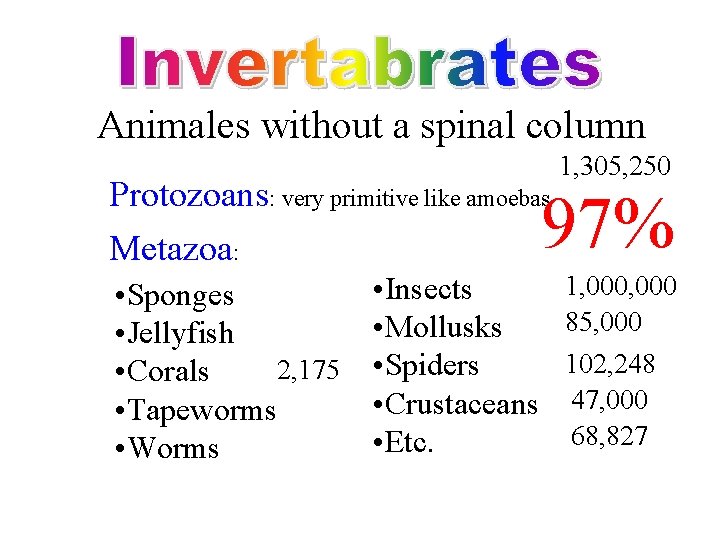 Animales without a spinal column Protozoans: very primitive like amoebas Metazoa: 1, 305, 250