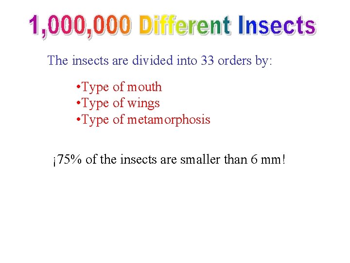 The insects are divided into 33 orders by: • Type of mouth • Type