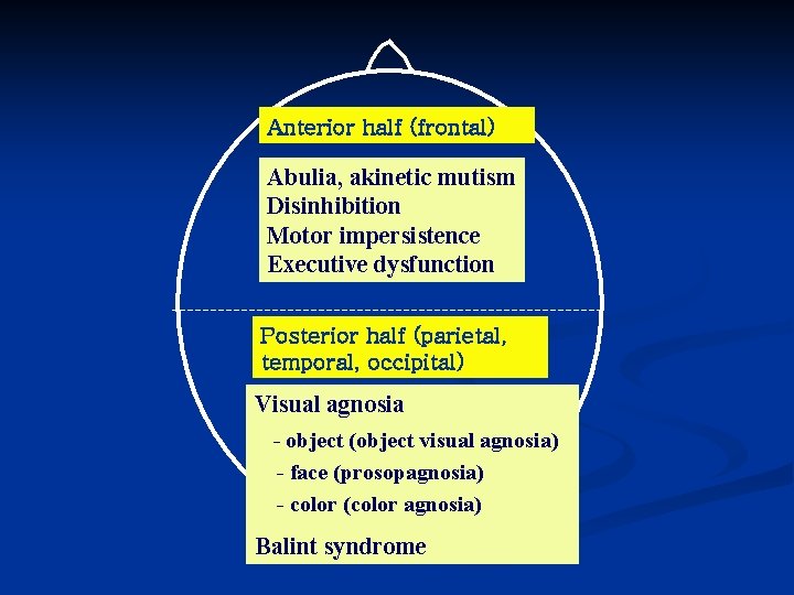 Anterior half (frontal) Abulia, akinetic mutism Disinhibition Motor impersistence Executive dysfunction Posterior half (parietal,