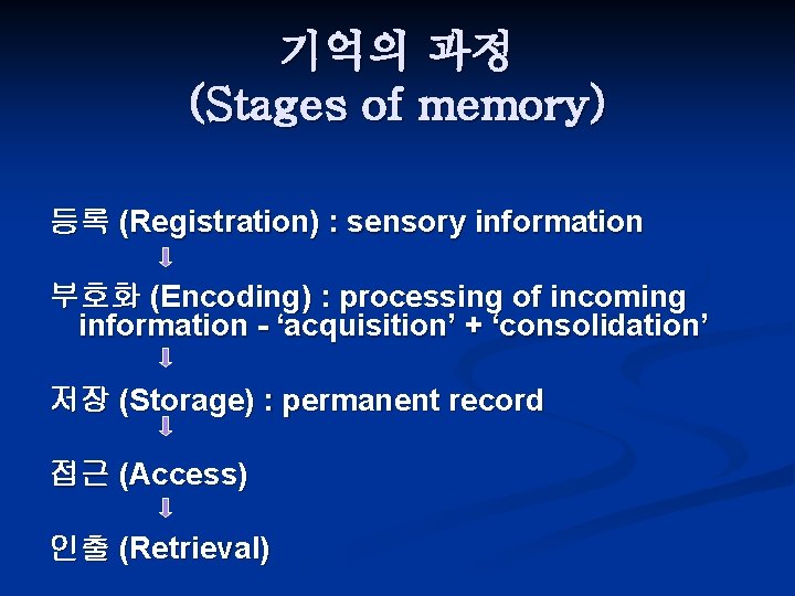 기억의 과정 (Stages of memory) 등록 (Registration) : sensory information 부호화 (Encoding) : processing