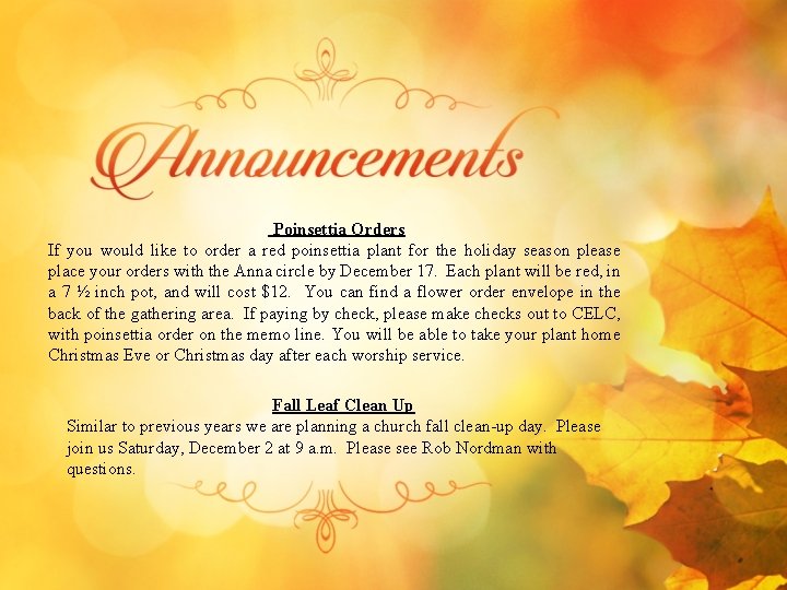 Poinsettia Orders If you would like to order a red poinsettia plant for the