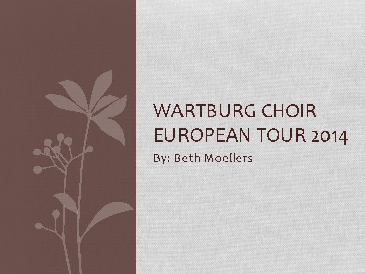 WARTBURG CHOIR EUROPEAN TOUR 2014 By: Beth Moellers 