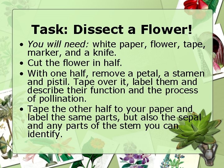 Task: Dissect a Flower! • You will need: white paper, flower, tape, marker, and
