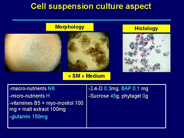 Cell suspension culture aspect Morphology Histology « SM » Medium -macro-nutrients N 6 -2,