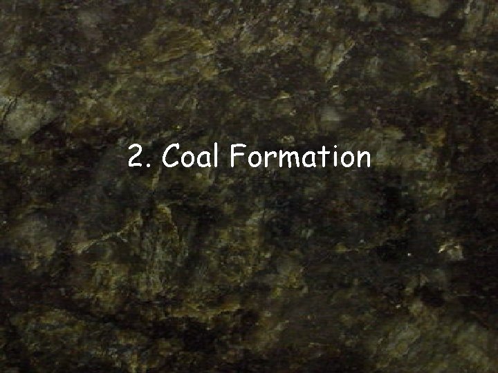 2. Coal Formation 