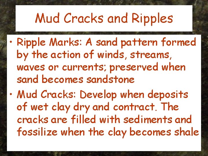 Mud Cracks and Ripples • Ripple Marks: A sand pattern formed by the action