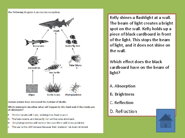 Kelly shines a flashlight at a wall. The beam of light creates a bright