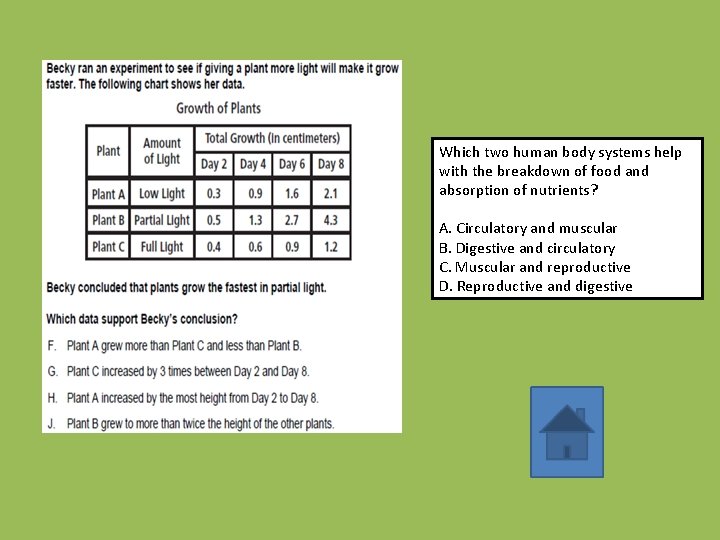 Which two human body systems help with the breakdown of food and absorption of