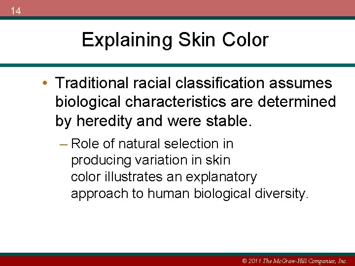 14 Explaining Skin Color • Traditional racial classification assumes biological characteristics are determined by