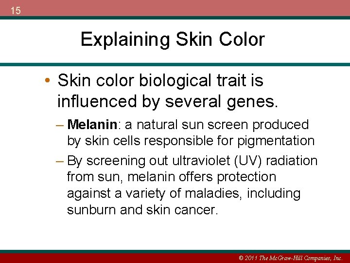 15 Explaining Skin Color • Skin color biological trait is influenced by several genes.