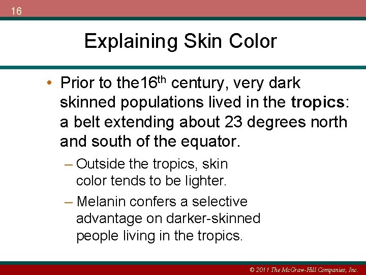 16 Explaining Skin Color • Prior to the 16 th century, very dark skinned