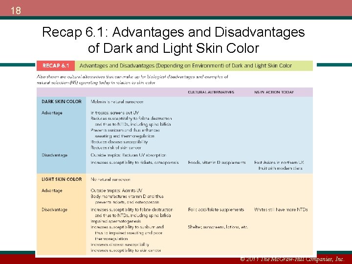 18 Recap 6. 1: Advantages and Disadvantages of Dark and Light Skin Color ©