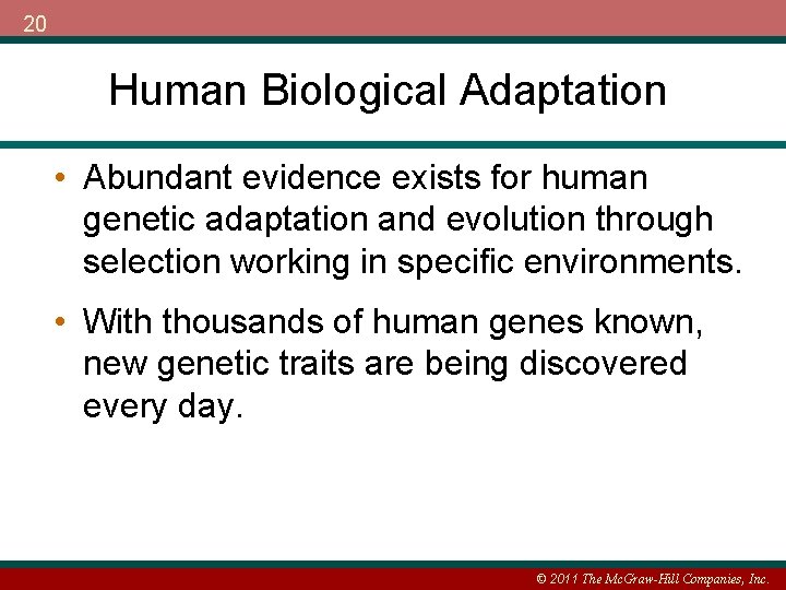20 Human Biological Adaptation • Abundant evidence exists for human genetic adaptation and evolution