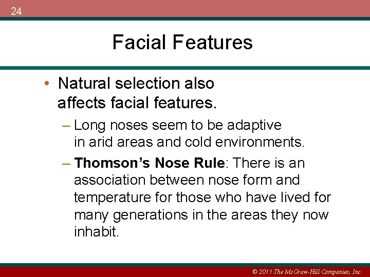 24 Facial Features • Natural selection also affects facial features. – Long noses seem