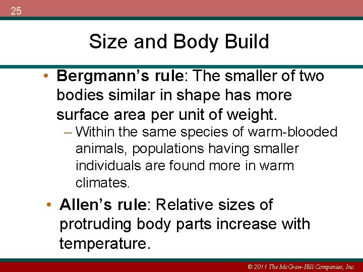 25 Size and Body Build • Bergmann’s rule: The smaller of two bodies similar