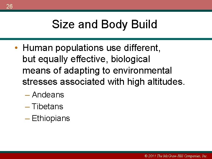26 Size and Body Build • Human populations use different, but equally effective, biological