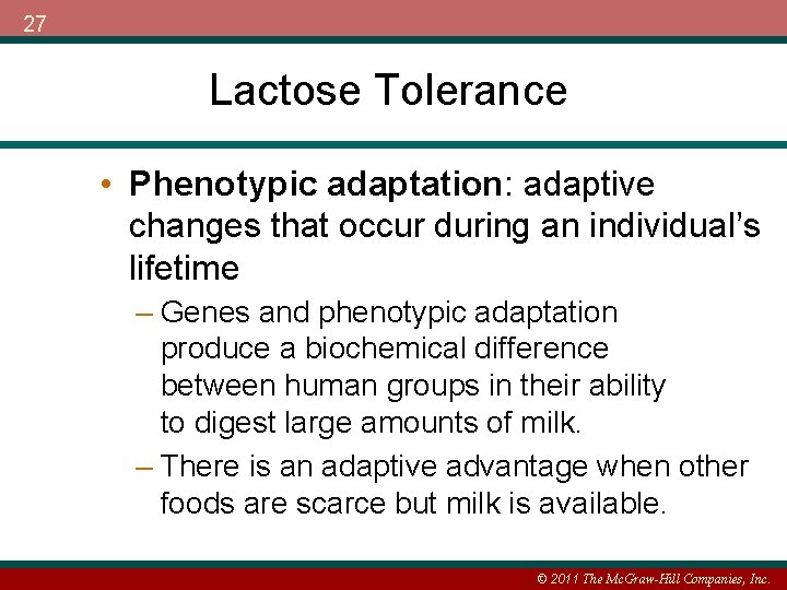 27 Lactose Tolerance • Phenotypic adaptation: adaptive changes that occur during an individual’s lifetime