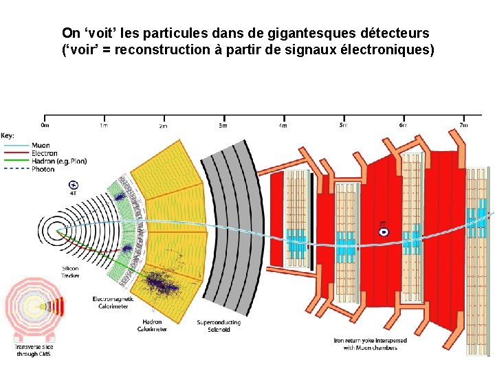 On ‘voit’ les particules dans de gigantesques détecteurs (‘voir’ = reconstruction à partir de
