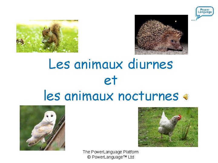 Les animaux diurnes et les animaux nocturnes The Power. Language Platform © Power. Language™