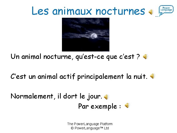 Les animaux nocturnes Un animal nocturne, qu’est-ce que c’est ? C’est un animal actif