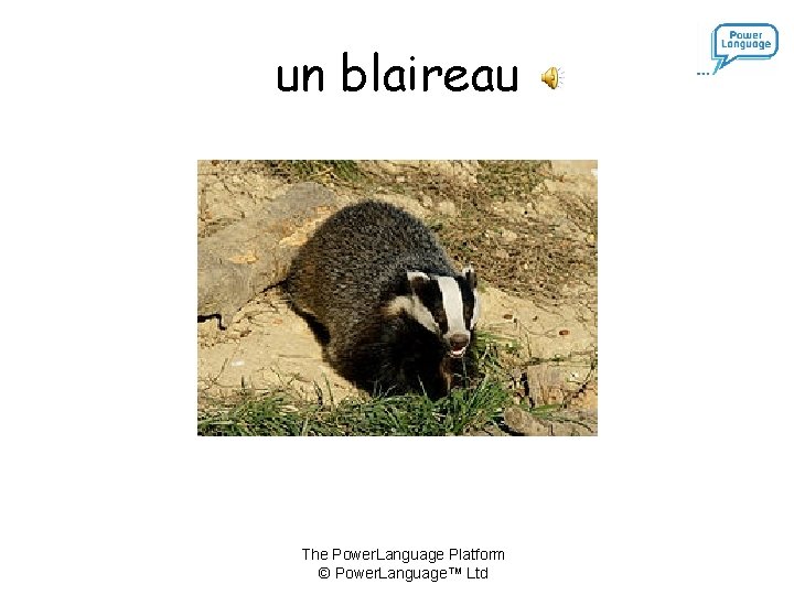 un blaireau The Power. Language Platform © Power. Language™ Ltd 