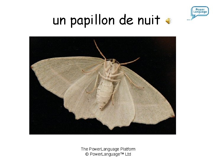 un papillon de nuit The Power. Language Platform © Power. Language™ Ltd 