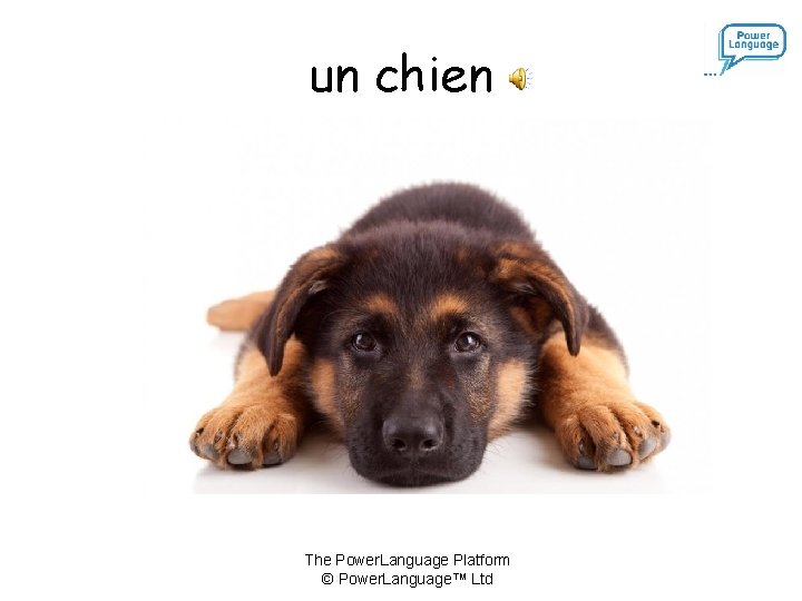 un chien The Power. Language Platform © Power. Language™ Ltd 