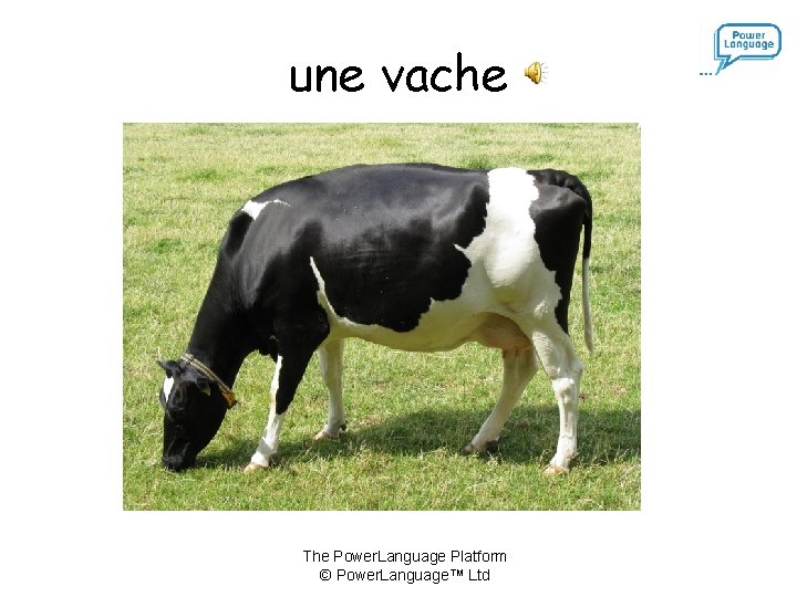 une vache The Power. Language Platform © Power. Language™ Ltd 