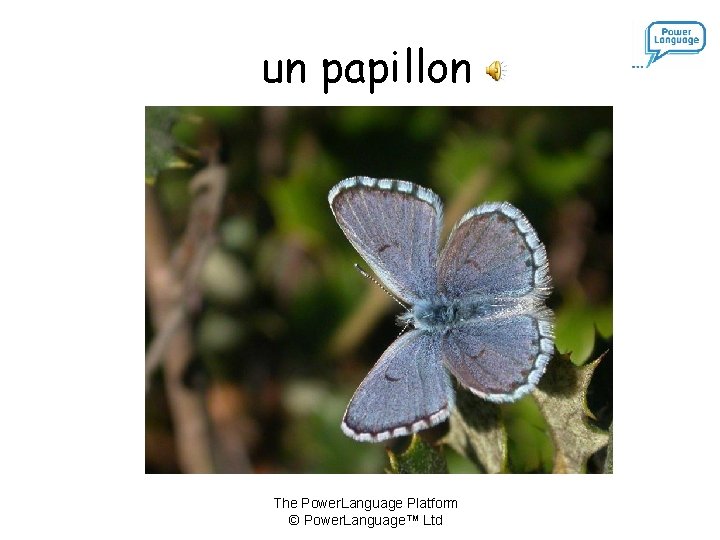 un papillon The Power. Language Platform © Power. Language™ Ltd 