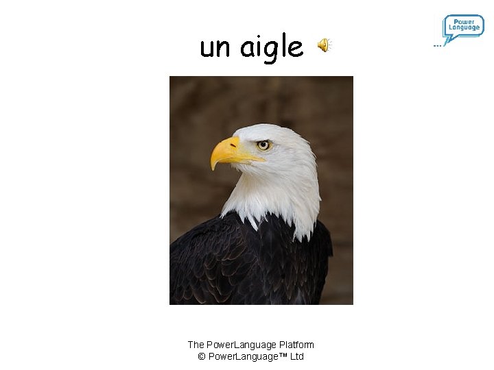 un aigle The Power. Language Platform © Power. Language™ Ltd 