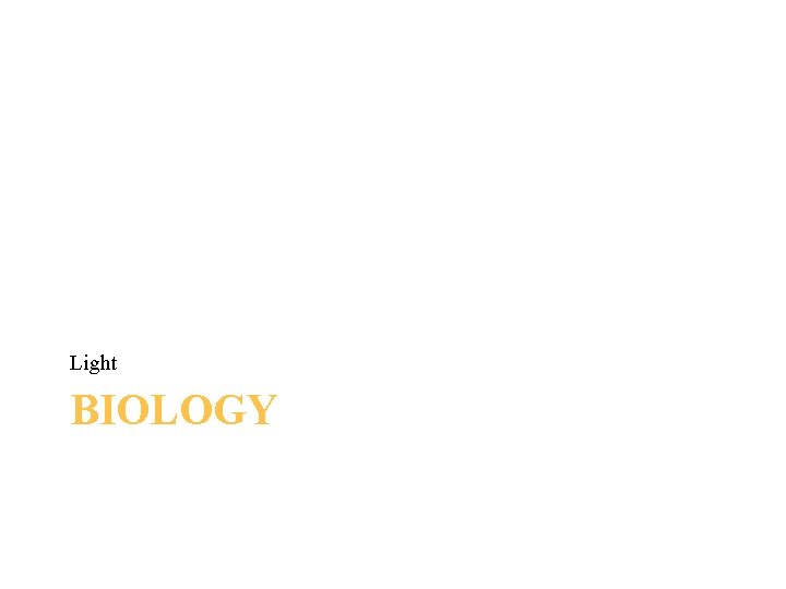 Light BIOLOGY 