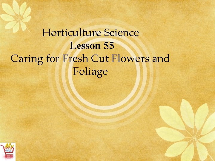 Horticulture Science Lesson 55 Caring for Fresh Cut Flowers and Foliage 