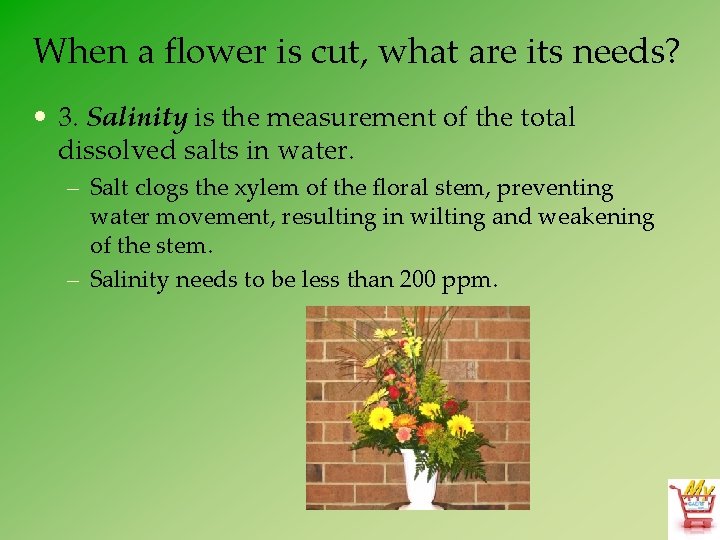 When a flower is cut, what are its needs? • 3. Salinity is the